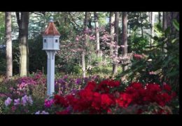 WRAL Azalea Gardens