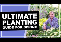 Spring Planting Tips