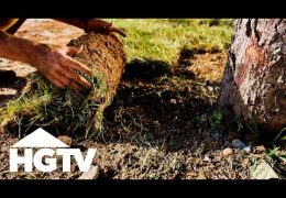 How to Install Sod