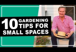 Small Space Gardening Tips