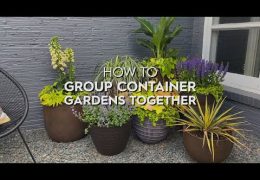 How to Arrange Container Gardens