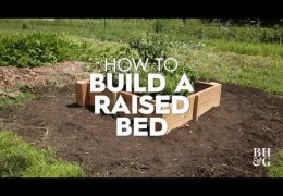 How to Build a Raised Garden Bed