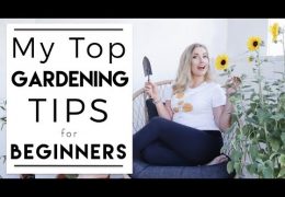 Tips and Tricks for Beginning Gardeners