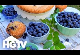 How to Grow Blueberry Bushes