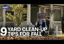 Easy Yard Clean-Up Tips for Fall