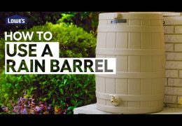 Basics of Rain Barrel Setup and Care