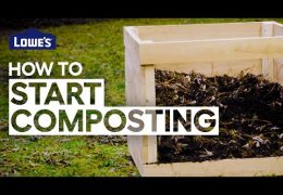 How to Start Composting