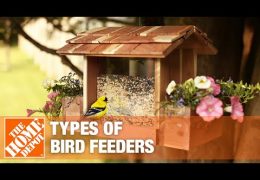 How to Select a Bird Feeder