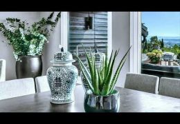 Ideas for Decorating Your Home with Plants