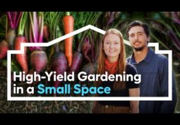 Basics of High-Yield Edible Gardening