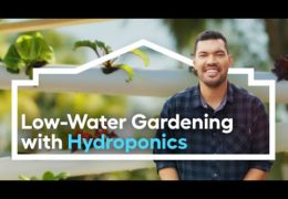 Edible Gardening with Hydroponics