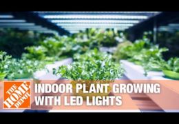 How to Select LED Grow Lights