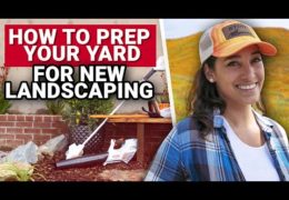 Four Tips for Prepping Your Yard for New Landscaping