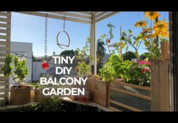 How to Add a Garden to a Rental Balcony