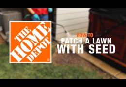 How to Patch a Lawn with Seed