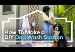 Outdoor Dog Wash Station