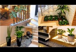 Design Ideas for Indoor Plant Arrangements