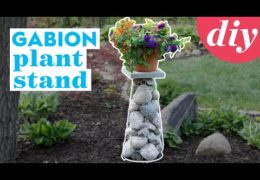 How to Make a Gabion Plant Stand