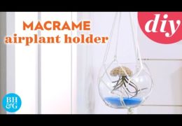 How to Make a Macrame Holder for an Air Plant Octopus