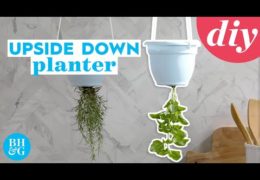 How to Make an Upside Down Planter