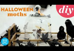 How to Make Halloween Paper Moths