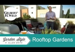 Ideas for Rooftop Garden Design