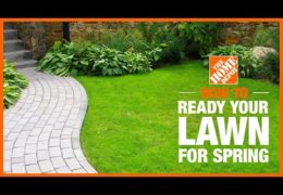 How to Prepare Your Lawn for Spring