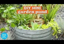 How to Create a Mini Garden Pond