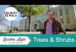 Tips for Planting Trees and Shrubs