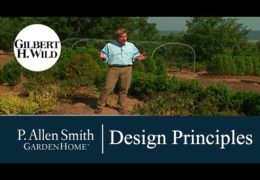 12 Basic Garden Design Principles