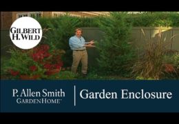 How to Create Enclosure in the Garden