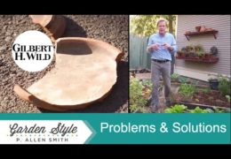 Solutions to Common Home and Garden Problems