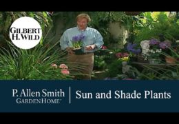 Sun and Shade Plant Varieties