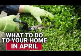 Five Home Maintenance Tasks for April