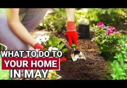 Five Home Maintenance Tasks for May