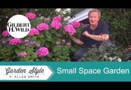 Tips and Ideas for Small Space Gardening