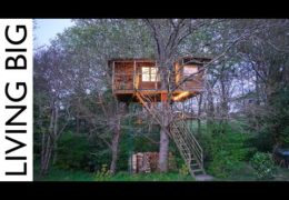 Ultimate Retirement Tree House