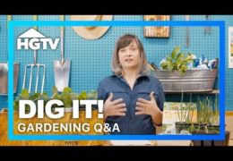 Gardening Q&A on Seed Starting