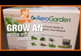 How to Grow an Indoor Hydroponic Garden