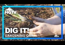 Gardening Q&A on Transitioning Seedlings Outdoors