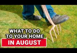 Five Home Maintenance Tasks for August