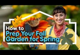 How to Prep Your Fall Garden for Spring