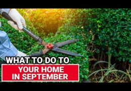 Five Home Maintenance Tasks for September