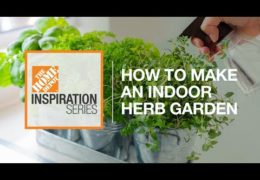 How to Make an Indoor Herb Garden