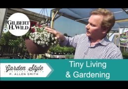 Tiny Living and Gardening