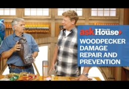 How to Repair and Prevent Woodpecker Damage