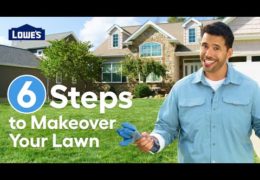 Six Steps to a Healthier Greener Lawn