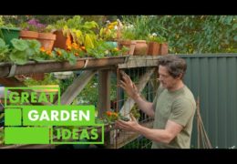 How to Transform a Gutter into a Hydroponic Garden