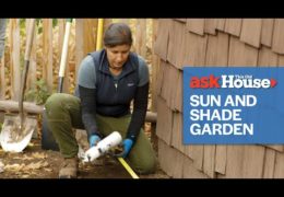 How to Create a Sun and Shade Garden