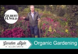 Tips for Organic Gardening